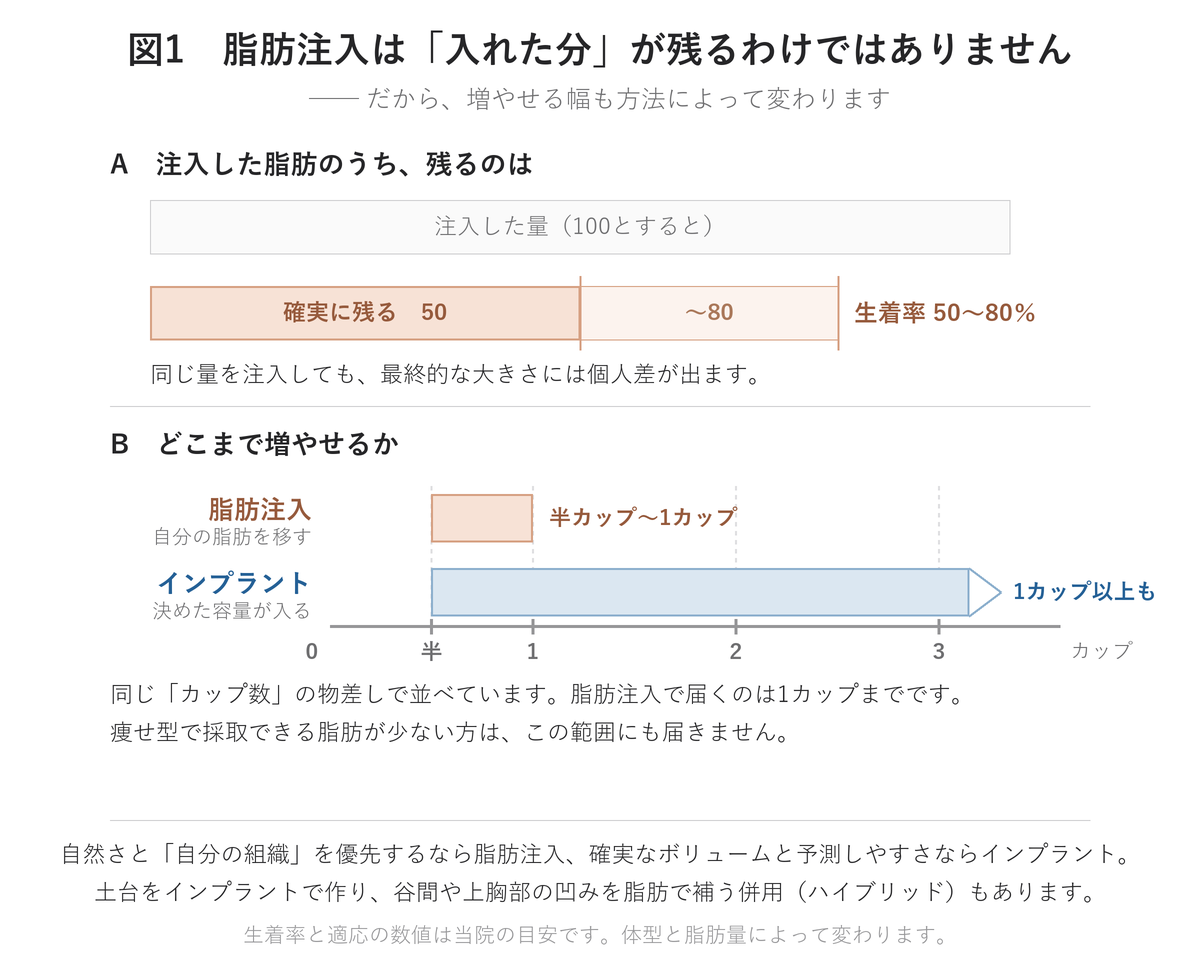 脂肪注入とインプラントの違い―生着率と増やせる幅|UNE美容外科