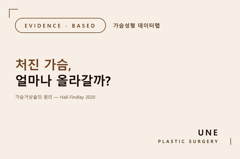 가슴거상술 하면 처진 가슴이 위로 올라갈까? — 수술 원리 쉽게 설명드립니다