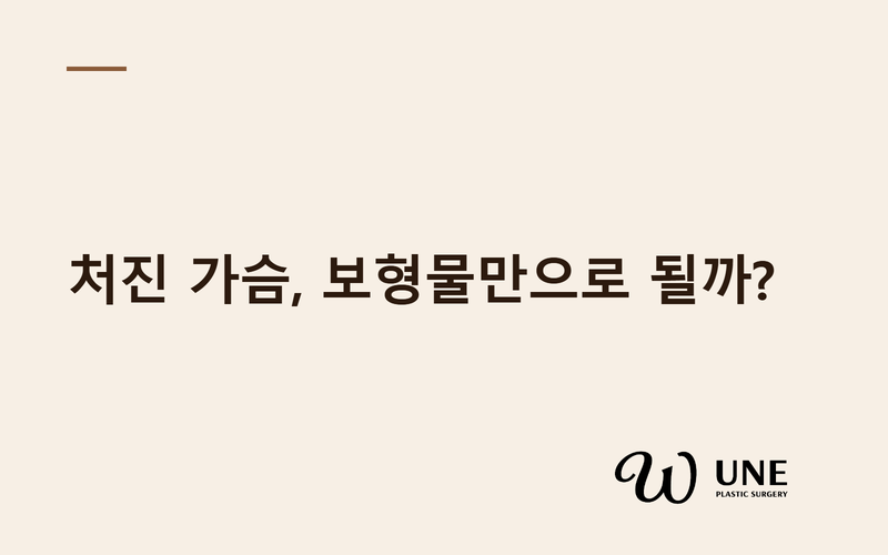 처진가슴 보형물만 넣으면 안되는 이유 — 워터폴·스누피 변형