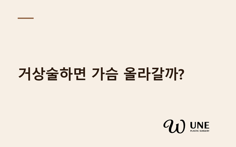 가슴거상술 하면 처진 가슴이 위로 올라갈까? — 수술 원리 쉽게 설명드립니다