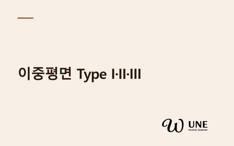 이중평면(Dual Plane), Type I·II·III 어떻게 다를까?