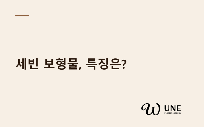 세빈 가슴성형 특징은?
